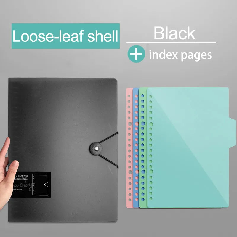 44653467107485|44653467140253|44653467173021